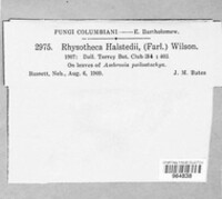 Image Associated With the Occurence